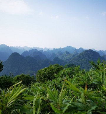 Co piszczy w parkach narodowych Wietnamu?